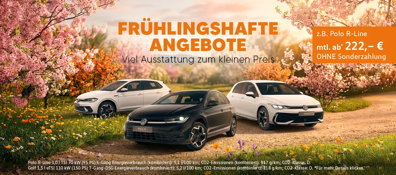 Frühjahrs-Angebote